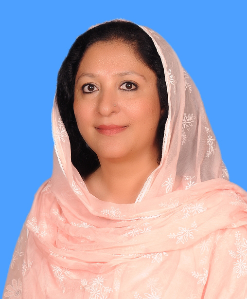 Wajiha Qamar